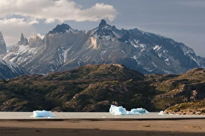 Images Dated 9th June 2010: Lago Grey, Torres del Paine National Park, Patagonia, Chile, South America