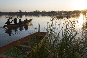 Lake Baringo Gallery: Lake Baringo, Rift Valley, Kenya, East Africa