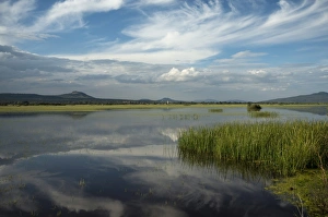 Lakes Gallery: Lake Cuitzeo