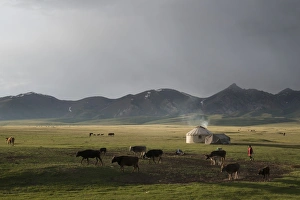 Central Asia Gallery: Lake Song-Kol, Kyrgyzstan, Central Asia