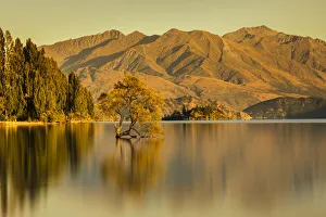 Lake Wanaka at sunrise, Mount-Aspiring National Park, UNESCO World Heritage Site, Otago Lake Wanaka at sunrise, Mount-Aspiring National Park, UNESCO World Heritage Site, Otago