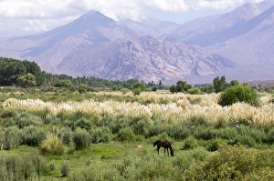Landscape in the Andes, Argentina, South America Landscape in the Andes, Argentina, South America