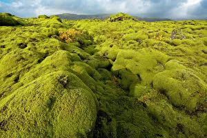 Related Images Gallery: Landscape of lava covered in moss, South Iceland, Polar Regions