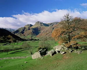 Majestic Gallery: Langdale Pikes from Great Langdale, Lake District National Park, Cumbria