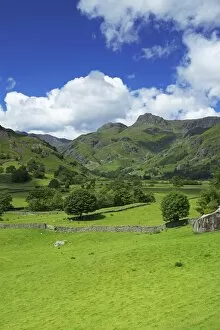 Images Dated 19th June 2012: Langdale Pikes, Lake District National Park, Cumbria, England, United Kingdom, Europe