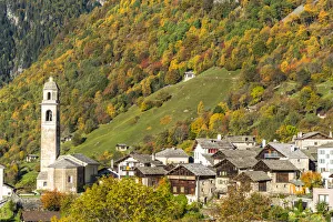 Larch trees and woods framing the village of Soglio in autumn, Val Bregaglia Larch trees and woods framing the village of Soglio in autumn, Val Bregaglia