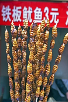 Larvae on skewers for sale at Dong Hua Men night market, Beijing, China, Asia Larvae on skewers for sale at Dong Hua Men night market, Beijing, China, Asia