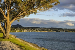 Late afternoon light at sunset over the shores of Lake Taupo, North Island, New Zealand Late afternoon light at sunset over the shores of Lake Taupo, North Island, New Zealand