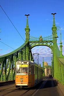 Trams Gallery: Liberty Bridge and tram, Budapest, Hungary, Europe