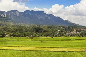Limestone peaks including 1231m Gunung Buntu Sarira and rice paddies in the River Sadang valley, Sarira, Toraja