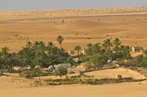 Little oasis between sand dunes at sunset, near Chinguetti, Mauritania, Africa