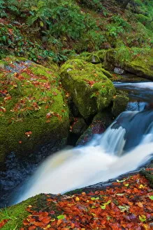 Powys Gallery: Llanrhaeadr ym Mochnant, Pistyll Rhaeadr Waterfalls, Berwyn Mountains, Powys, Wales