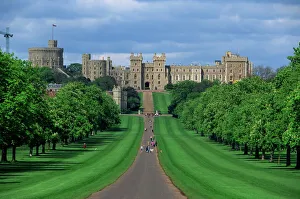 Prints of Long Walk from Windsor Castle, Berkshire, England, United Kingdom, Europe Berkshire Prints: Long Walk Print from Windsor Castle, Berkshire