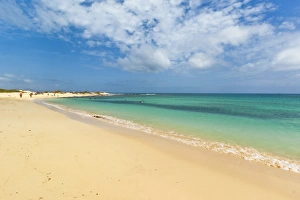 Looking north on one of the beautiful sandy beaches south of this resort town, Corralejo Looking north on one of the beautiful sandy beaches south of this resort town, Corralejo