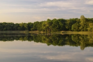 Lough Barry, Inishmore, Upper Lough Erne, County Fermanagh, Northern Ireland Lough Barry, Inishmore, Upper Lough Erne, County Fermanagh, Northern Ireland
