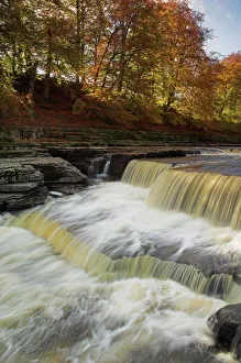 Yorkshire Gallery: Aysgarth Collection