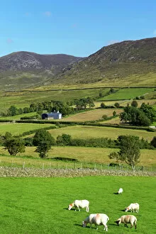 Ulster Collection: Lukes Mountain, Mourne Mountains, County Down, Ulster, Northern Ireland, United Kingdom, Europe