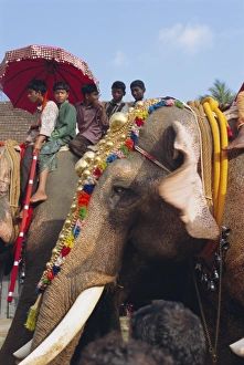 Mahoot and boys on decorated elephants at a roadside festival Mahoot and boys on decorated elephants at a roadside festival