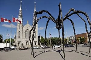 Maman a 21st century bronze sculpture of a spider, 9.25m high with a sac of 26 eggs