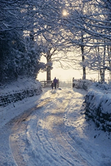 Yorkshire Gallery: Arthington
