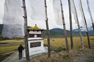 Poles Gallery: A man circumambulating a stupa with prayer flags, Punakha, Bhutan, Asia