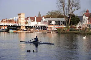 Man rowing on River Thames near Rowing Club, Marlow suspension bridge in background Man rowing on River Thames near Rowing Club, Marlow suspension bridge in background
