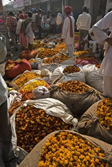 Marigolds tied up in cloth and sacking ready for sale, flower market, Bari Chaupar Marigolds tied up in cloth and sacking ready for sale, flower market, Bari Chaupar