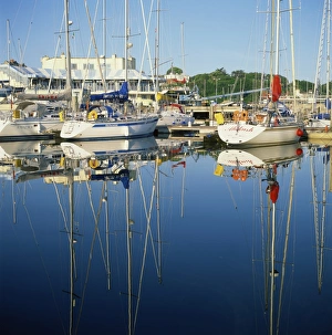 Marina, Howth, County Dublin, Republic of Ireland, Europe Marina, Howth, County Dublin, Republic of Ireland, Europe