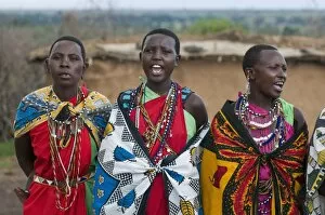 Images Dated 2nd October 2008: Masai women singing, Masai Mara, Kenya, East Africa, Africa