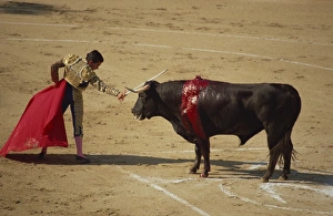 bullfighter red cape