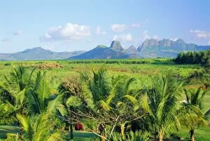 Mauritius, scenic in the North West region of the island