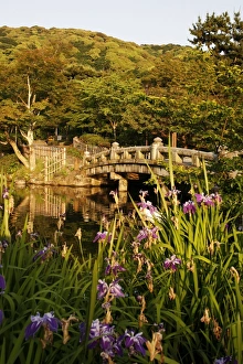 Sights Gallery: Kyoto Garden Collection