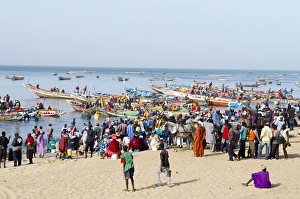 Mbour fishing harbour on the Petite Cote (Small Coast), Senegal, West Africa, Africa Mbour fishing harbour on the Petite Cote (Small Coast), Senegal, West Africa, Africa
