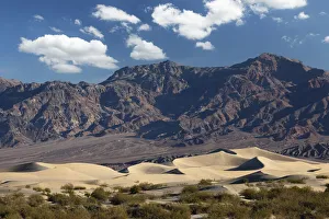 Mesquite Flat Sand Dunes at sunsrise, Death Valley National Park, California Mesquite Flat Sand Dunes at sunsrise, Death Valley National Park, California