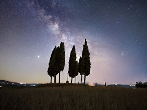Milky way above a group of cypresses, Val d'Orcia, Tuscany, Italy, Europe