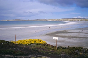 Mined beach from the Falkland war, near Stanley, Falkland Islands, South America Mined beach from the Falkland war, near Stanley, Falkland Islands, South America