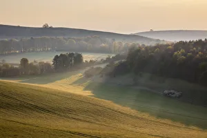 Misty landscape with Beacon Hill and Ladle Hill, Highclere Misty landscape with Beacon Hill and Ladle Hill, Highclere