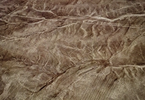 The Monkey Geoglyph, aerial view, Nazca, UNESCO World Heritage Site, Ica Region, Peru The Monkey Geoglyph, aerial view, Nazca, UNESCO World Heritage Site, Ica Region, Peru