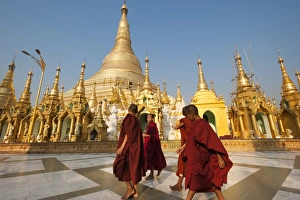 Monks walk around Shwedagon Pagoda, Yangon (Rangoon), Myanmar (Burma), Asia Monks walk around Shwedagon Pagoda, Yangon (Rangoon), Myanmar (Burma), Asia