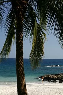 Images Dated 6th February 2007: Montezuma beach, Nicoya peninsula, Costa Rica, Central America