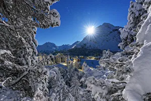 Places Of Worship Gallery: Moon glowing over the snowy bell tower of Chiesa Bianca and woods in winter, Maloja, Bregaglia