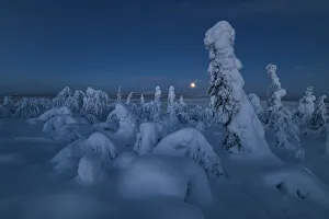 Full moon rising over a snow covered winter landscape, tykky Full moon rising over a snow covered winter landscape, tykky