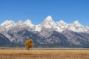 Mormon Row and Teton Range, Grand Teton National Park, Wyoming, United States of America Mormon Row and Teton Range, Grand Teton National Park, Wyoming, United States of America