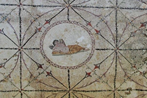 Mosaic Collection: Mosaic of Hypnos, Greek god of dreams, dormitory of the Roman villa, Risan, Kotor Bay