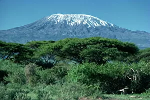 Natural Landmark Collection: Mount Kilimanjaro, Tanzania, East Africa, Africa