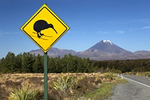 Mount Ngauruhoe with Kiwi crossing sign, Tongariro National Park Mount Ngauruhoe with Kiwi crossing sign, Tongariro National Park