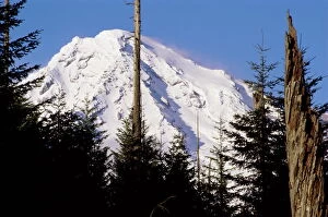 Afternoon Collection: Mount Rainier, Washington State, United States of America (U