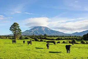 North Island Prints: Mount Taranaki Print: North Island, New Zealand