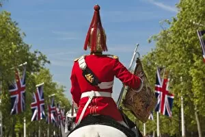 Images Dated 4th May 2011: Mounted soldier of the Household Cavalry along The Mall, London, England