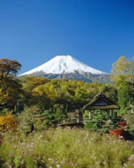 Fuji Gallery: Mt. Fuji, Japan